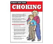 Daymark IT112465 - Safety Poster Choose From 9 Titles, Choking