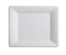 Fineline 42SP10 - Conserveware Disposable Square Plate - 10-1/4"x10-1/4"