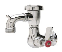 Fisher 29556 Service Sink Faucet with Single Wall Control Valve and Lever Handle