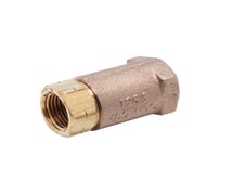 T&S B-CVH1-2 Check Valve, 1/2" NPT Female