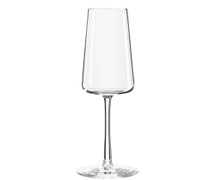 RAK Porcelain 1590029T Stolzle Flute Champagne Glass, 8-1/2 Oz., 2-3/4" Dia. X 8-3/4"H, Case of 24