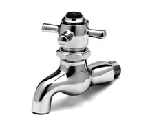 T&S B-0709 Single Hole Wall-Mount Sill Faucet with Garden Hose Male Outlet